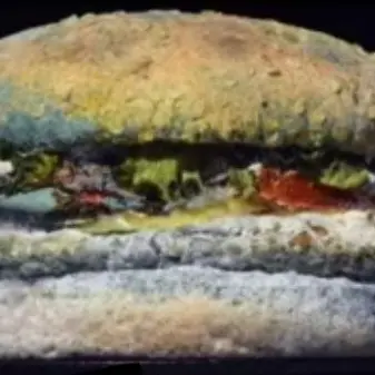 Profile image of 손님들