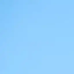 Profile image of 쥐