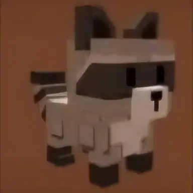 Profile image of 라쿤