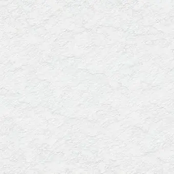 Profile image of ROCKY