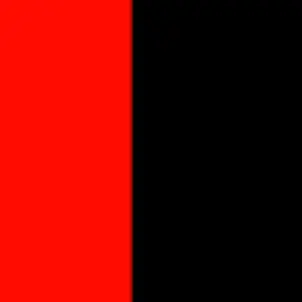 Profile image of 蘭丸