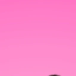 김태연