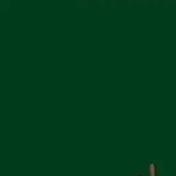 DullCard2660의 임태웅
