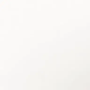 Profile image of 김도영