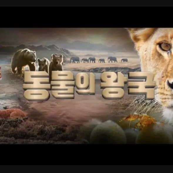 LeftLake5575의 동물의왕국
