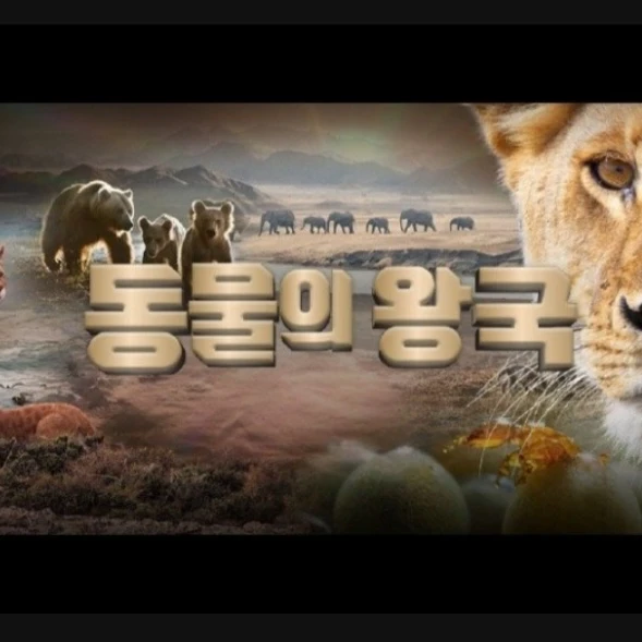 동물의왕국