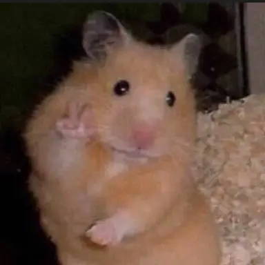 Profile image of 햄쯔