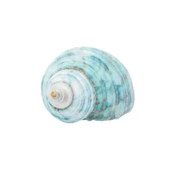 Profile image of Octavinelle