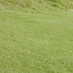 Profile image of ゆい