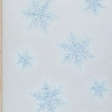 Profile image of SnowMan