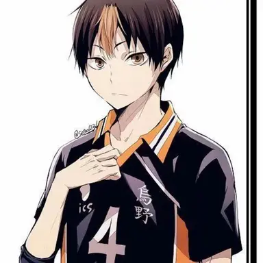 Profile image of Yu Nishinoya
