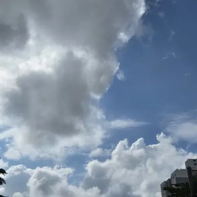 Profile image of 한지훈