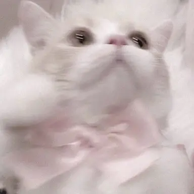 Profile image of 乃愛