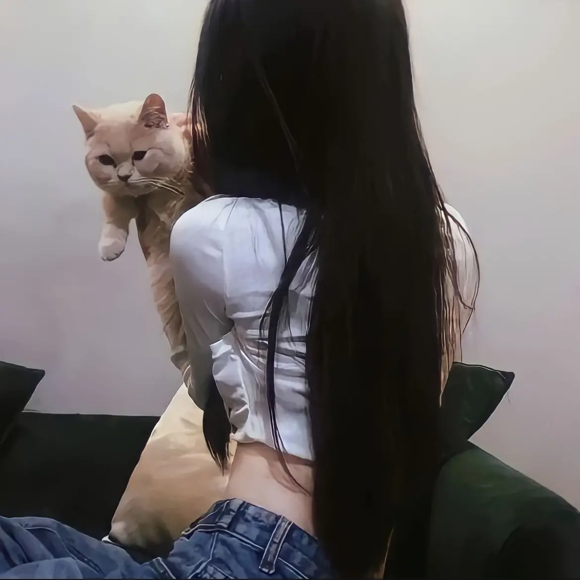 Ditto의 유하리