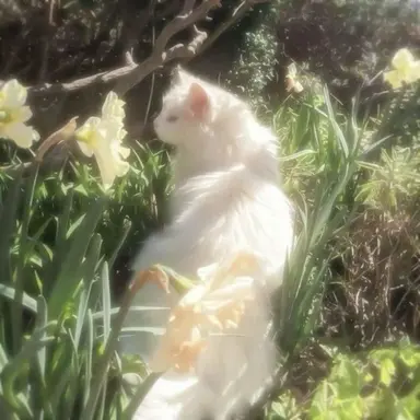 Profile image of 정공룡