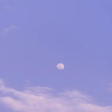 Profile image of Hwang Suhyun