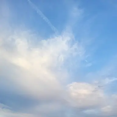 Profile image of 잭