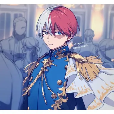 Profile image of Shoto Todoroki