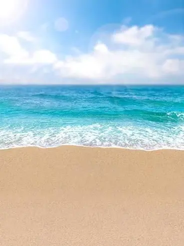 LemonyLoach9791의 고고프렌즈, 팀나빠와 여우와 바다여행