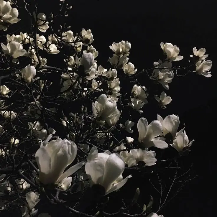 GuiltyFlour0386의 𝐿𝑒𝑒 𝑆𝑖𝑛