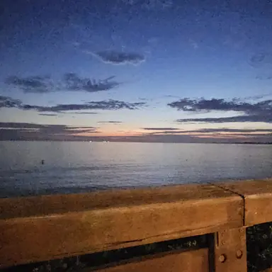 Profile image of 장혜경