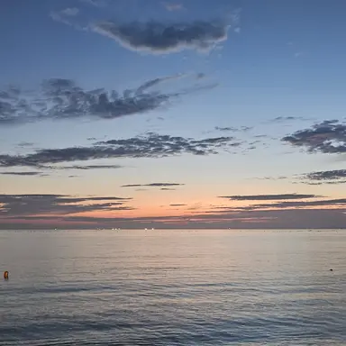 Profile image of 윤채민