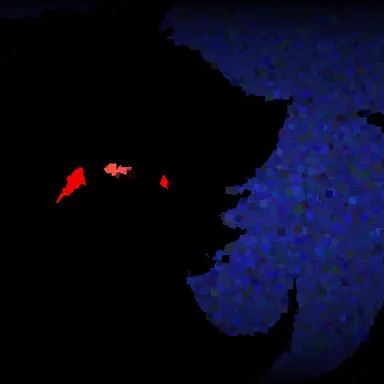 Profile image of モウフ
