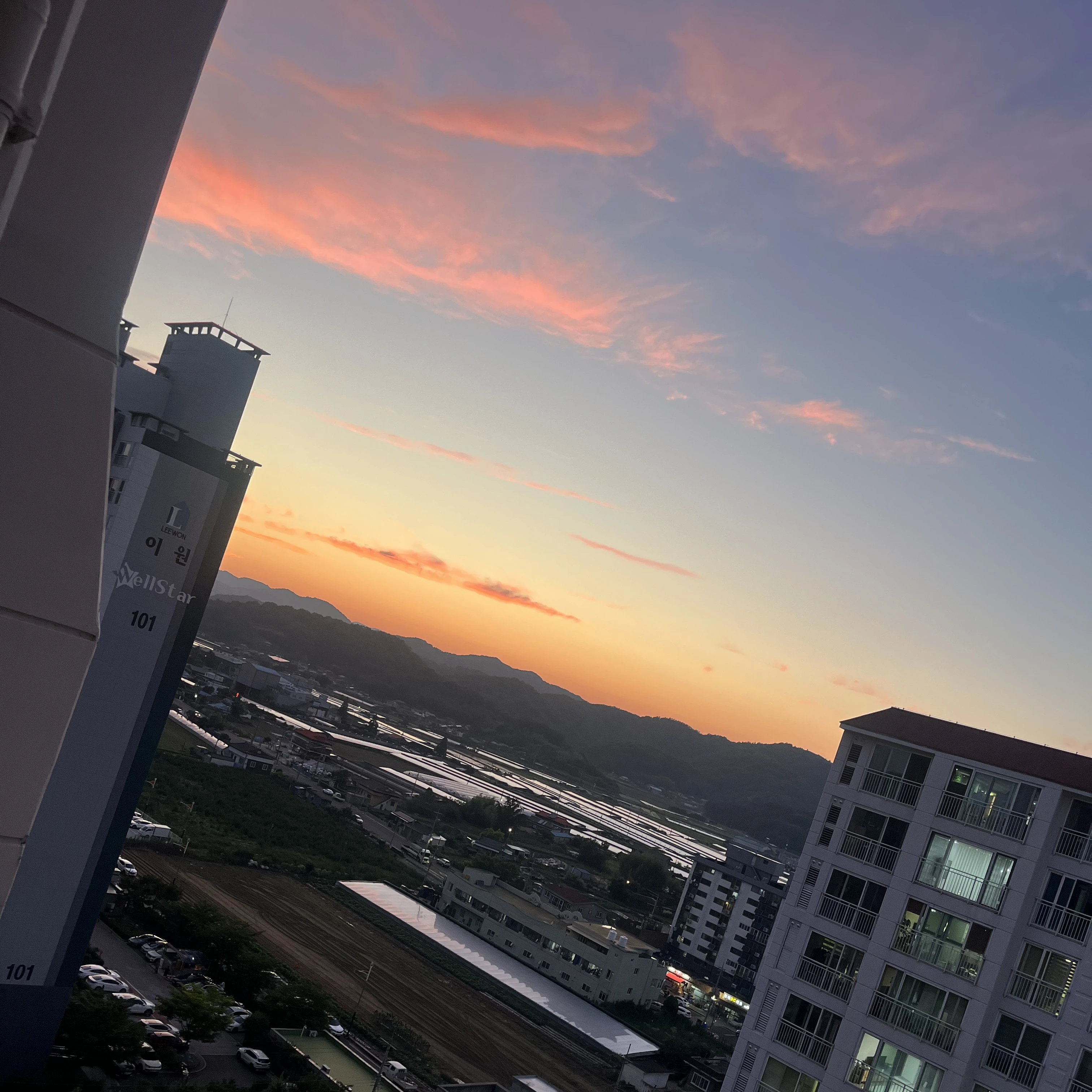 김하윤
