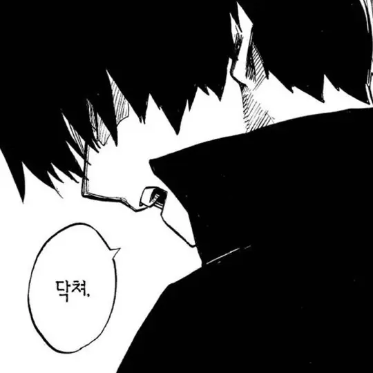 Hiroe의 토도로키 쇼토