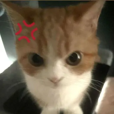 Profile image of ㅅ