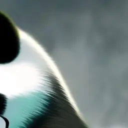 Profile image of パンダ