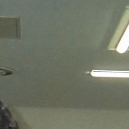 INI
