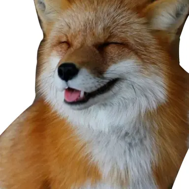 Profile image of 여우