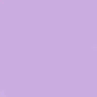 Profile image of 황수현