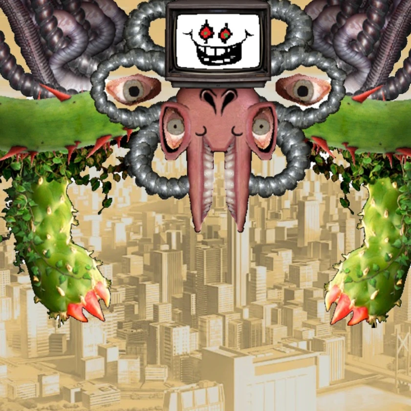 플라위