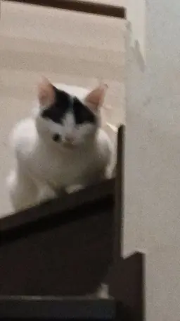 Profile image of ひまわりチャンネル