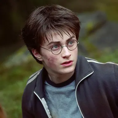 Profile image of Harry Potter