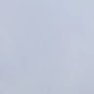 Profile image of 김초토