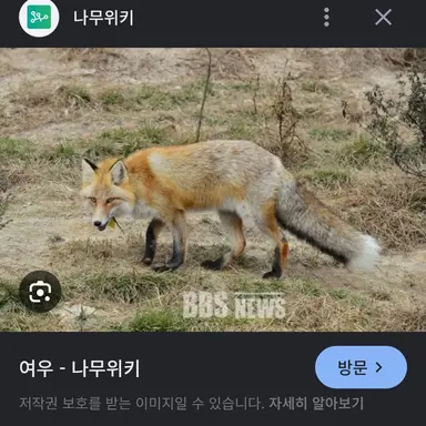 Profile image of 여우