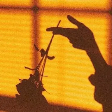 Profile image of 뉴비
