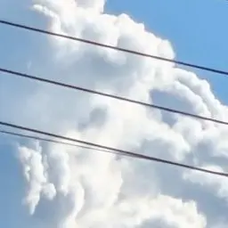 Profile image of 夏コラボメンバー