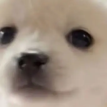 Profile image of ㅁㅈㅎ
