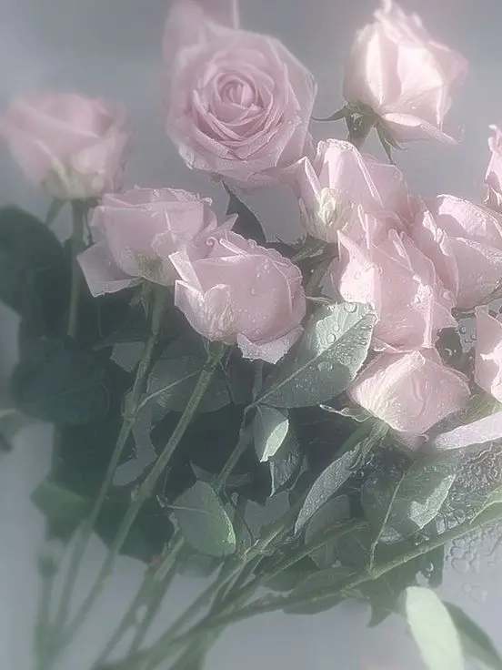 mo-tann_의 羽風薫／⚠︎ヤンデレ