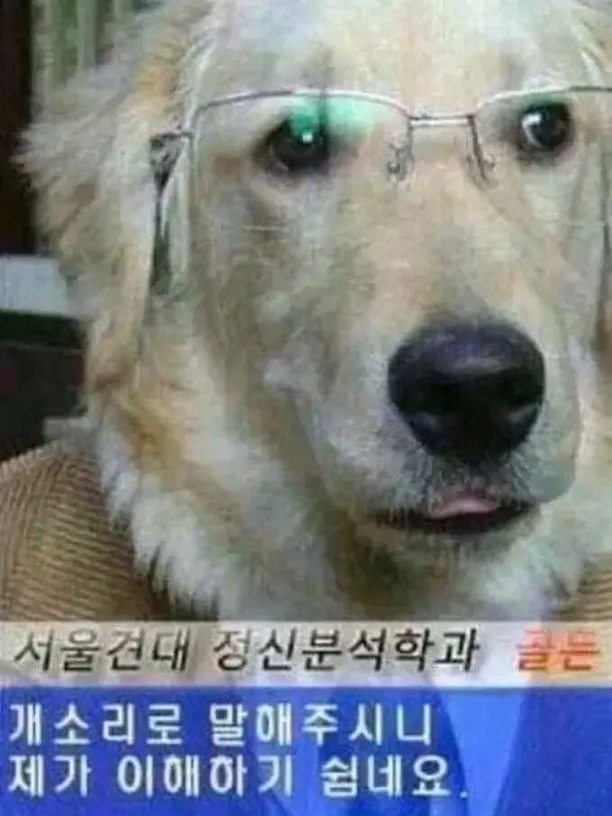 user1709402561588의 로맨스의 절댓갋