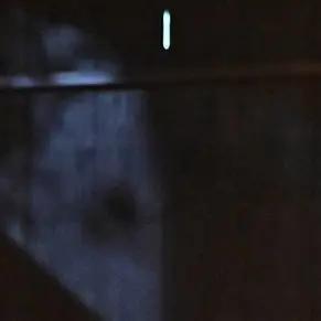 Profile image of 霧矢 直斗