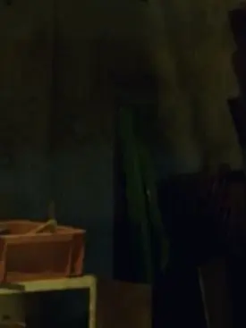 green.ringo.의 裏　。