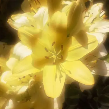 Profile image of 김각별.