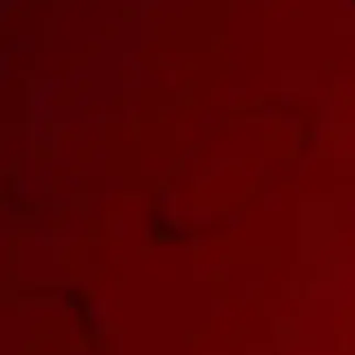 Profile image of ハヤト