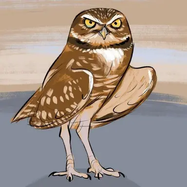 Profile image of Timber