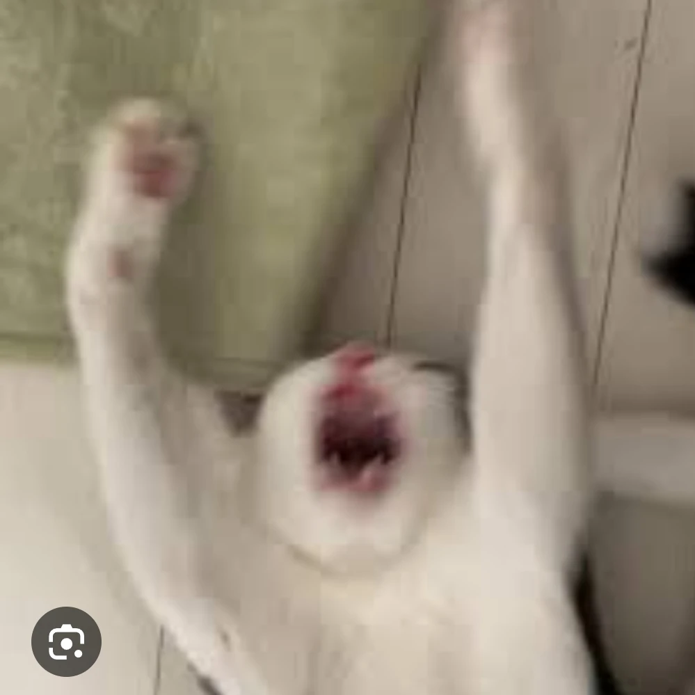 코코